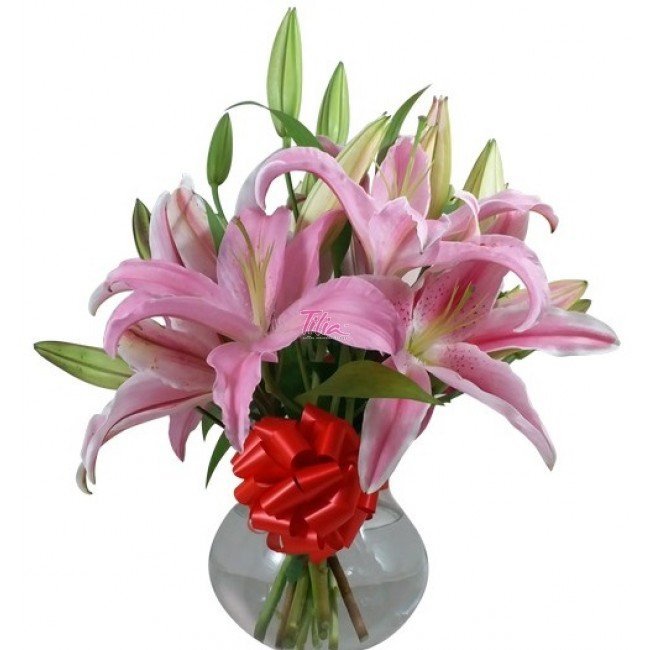 10_lilies_in_a_bowl_11.jpg