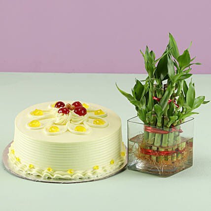 Butterscotch Cake N Bamboo Plant