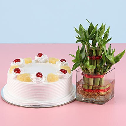 Pineapple Cake N Lucky Bamboo