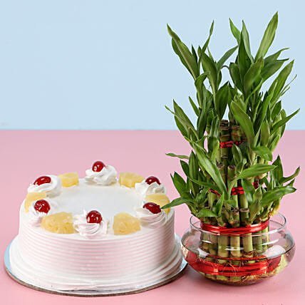 Pineapple Cake N Lucky Bamboo