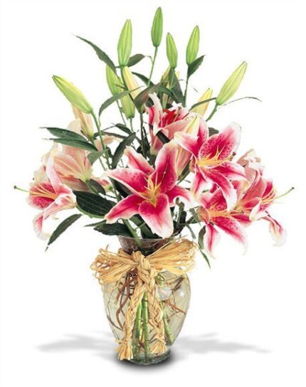 Lovely Lilies