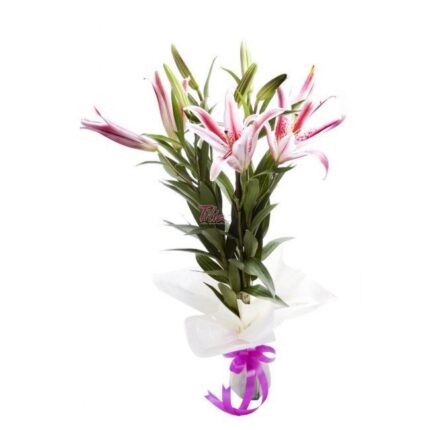 Exotic For Your Home