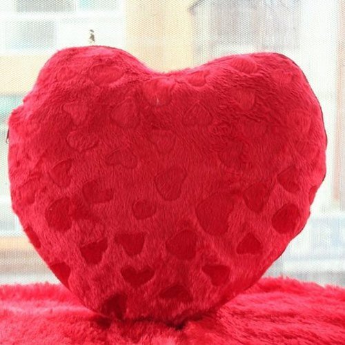 sublimation-heart-shape-red-pillow-500x5001-1.jpg