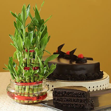 truffle-cake-n-three-layer-bamboo_11.jpg