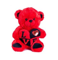 0165613_i-love-u-taddy-bear1.jpeg