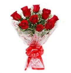 10_red_roses_bunch1.jpg