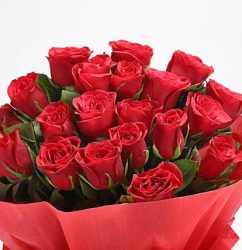20-Red-Roses-Bouquet1.jpg