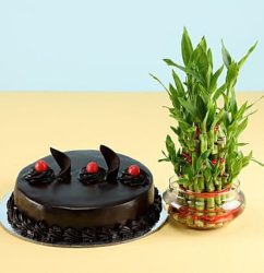 Cake-N-Three-Layer-Bamboo.jpg