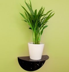 Changing-Indoor-Plant-Decoration-Ideas-121.jpg