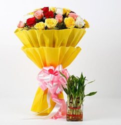 Mixed-Roses-N-Lucky-Bamboo.jpg