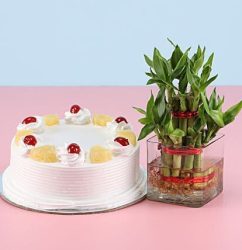 Pineapple-Cake-Lucky-Bamboo.jpg