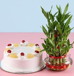 Pineapple-Cake-N-Lucky-Bamboo.jpg