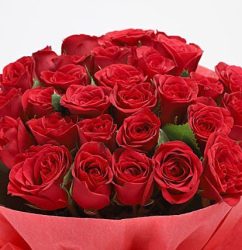 Red-Roses-N-Greeting-card1.jpg