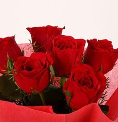 Red-Roses-Teddy-Bear-Combo1.jpg