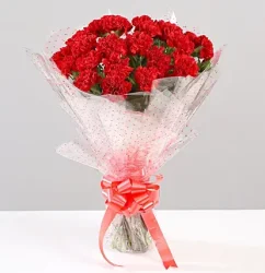 bunch-of-24-lovely-red-carnations_11.webp