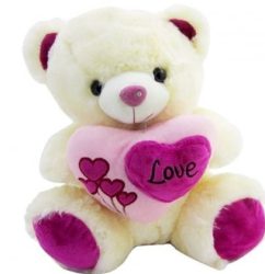 love-teddy1_1537522706_large_1561723735_extra_medium1.jpg