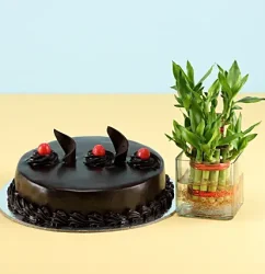 lucky-bamboo-truffle-cake-combo_21.webp