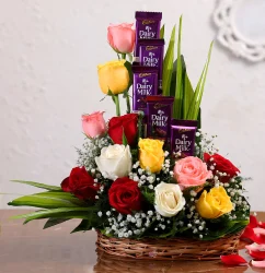 mixed-roses-arrangement-with-dairy-milk-chocolates_11.webp