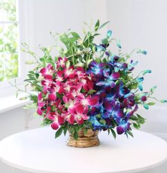 p-arrangement-of-10-blue-purple-orchids-in-a-basket-55122-m1.jpg